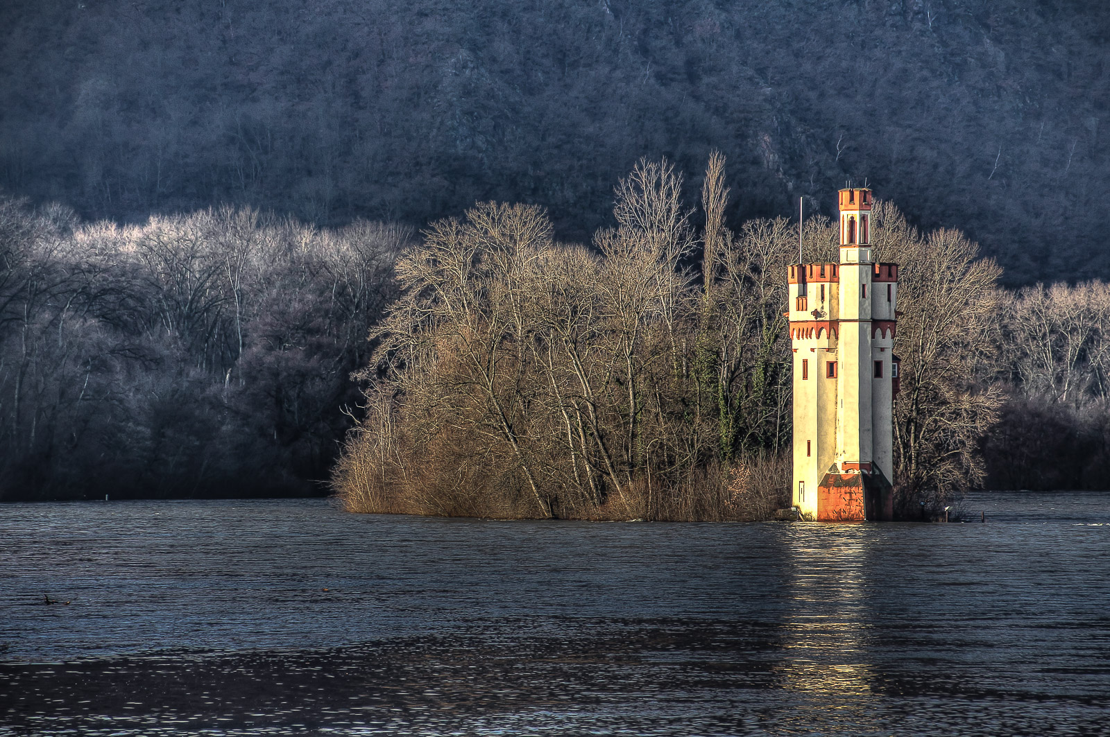 pic of the day 20191115 eric immerheiser