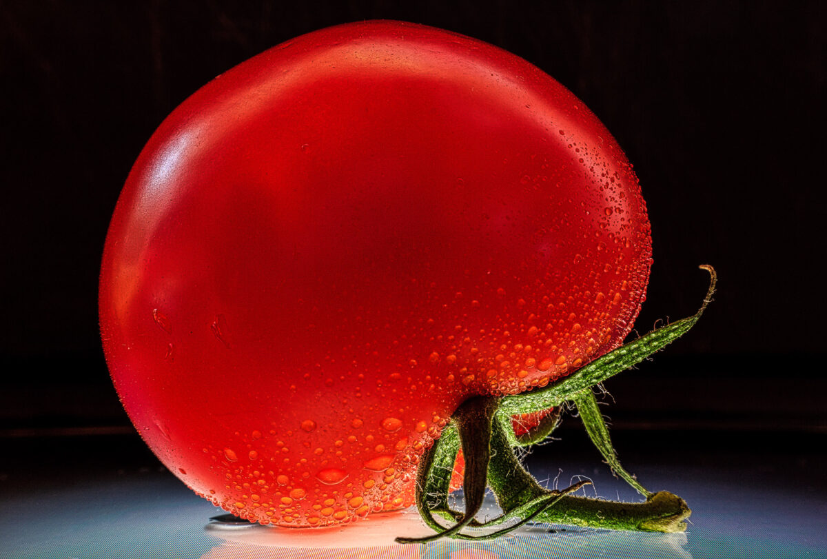 Tomate - (c) eric immerheiser