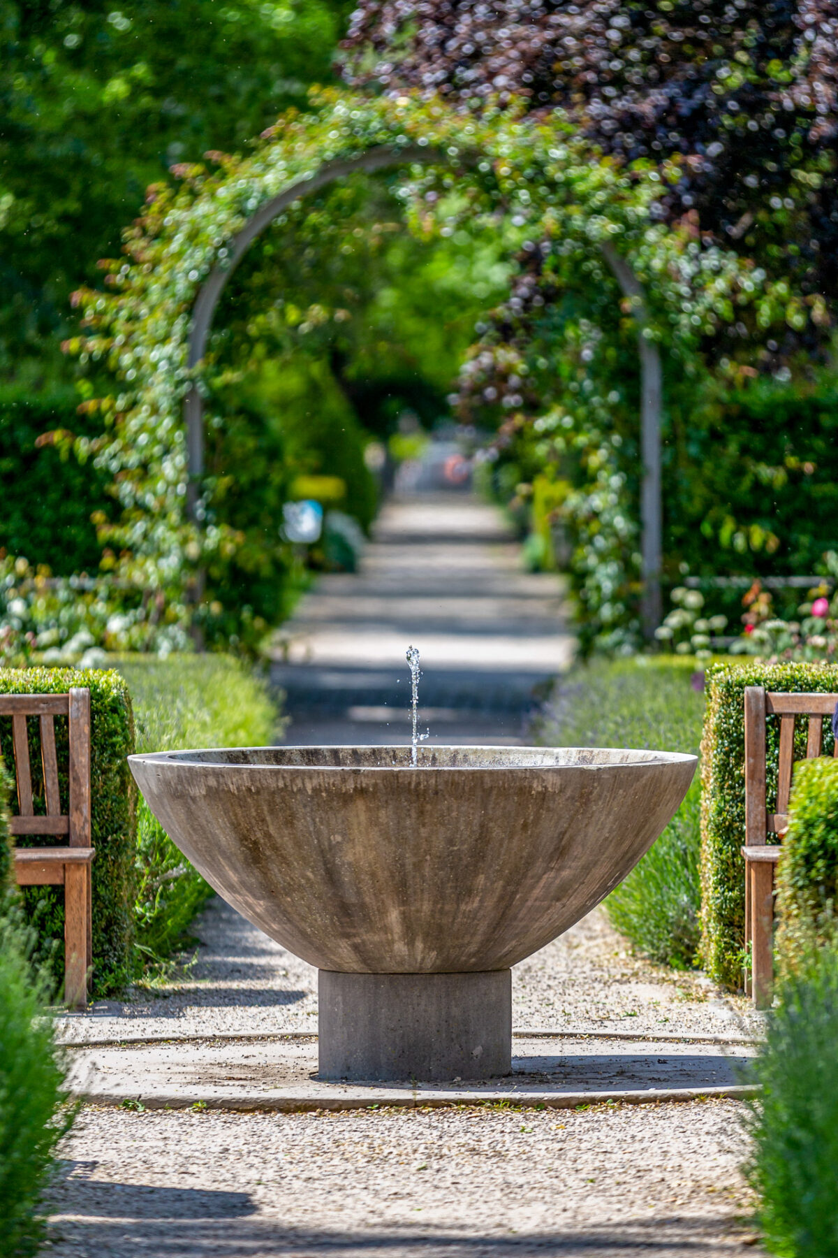 Springbrunnen Rosengarten Bingen - eric immerheiser